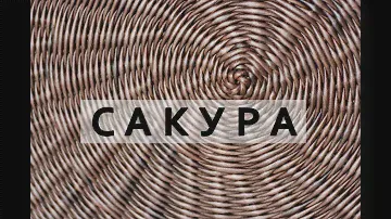 САКУРА