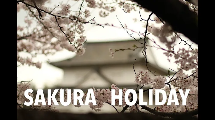Sakura holiday in Japan 2017 - Osaka, Hiroshima, Kyoto, Tokyo, Mt. Fuji
