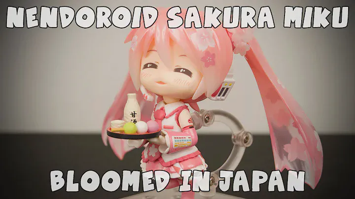 Nendoroid Sakura Miku Bloomed In Japan Unboxing