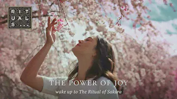 The Power of Joy: The Ritual of Sakura