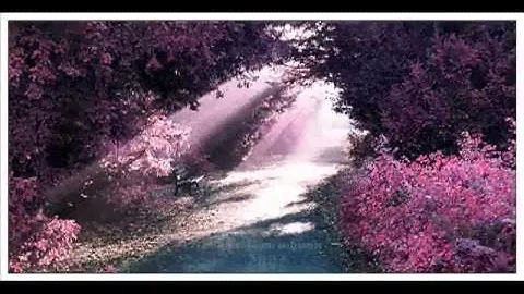 Sakura Sakura (relax)