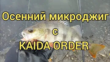 Котловой окунь поздней осенью? Микроджиг с Kaida  Order 210  0.5 - 3.0 гр.