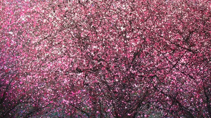 Jean-Pierre Rampal & Lily Laskine - Sakura Sakura