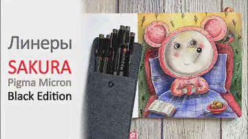 Линеры Сакура Пигма Микрон в черном корпусе. Обзор.