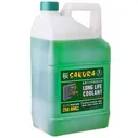 Антифриз «Sakura Green» 10кг